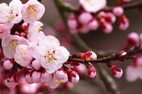 九游网页版入口-凯莉·麦基翁展现强大耐力与爆发力，凯莉·麦吉利斯现照