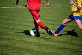 -体育文化节活动预告，体育文化节活动流程