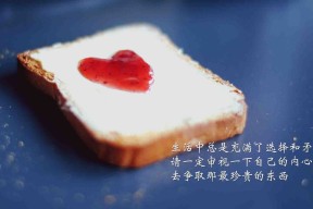 九游app下载中心-“尼古拉斯·桑特基：阿根廷美洲狮队的进攻组织者，未来潜力巨大”