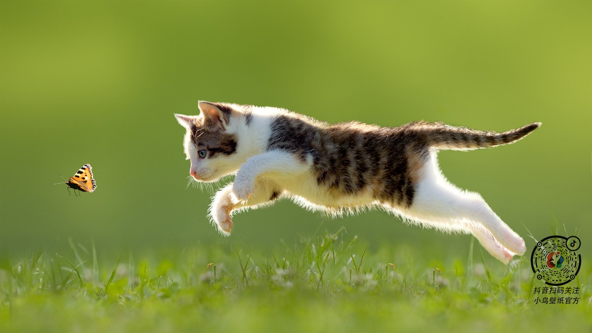 NBA球员合同谈判趋势与薪资结构，nba球员交易后合同薪水谁给