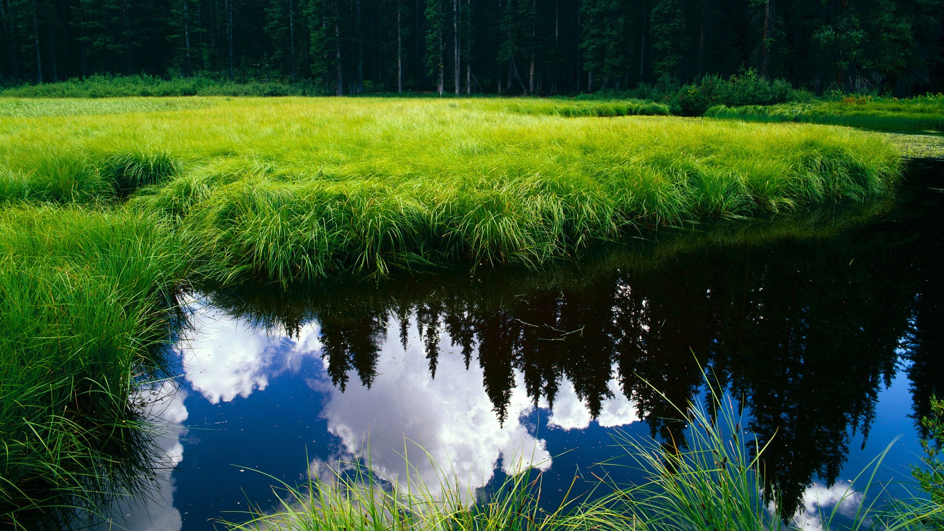 NBA球员场上决策行为分析与训练改进，nba针对球员的规则