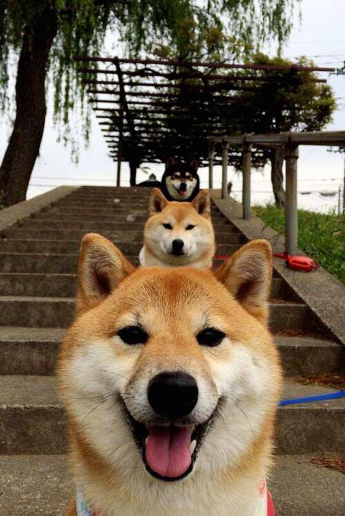 NBA球员复赛表现与封闭训练成效分析，nba复赛球员背后标语