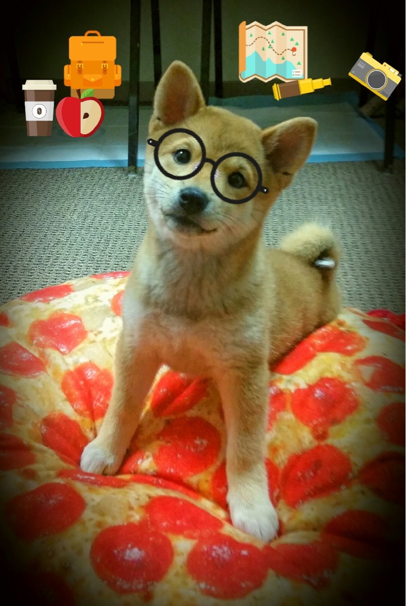 NBA球员心理健康支持体系建设研究,nba球员的护理