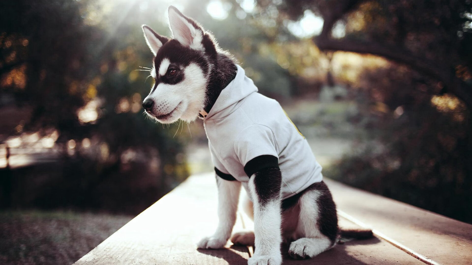 中国足球比赛心理状态波动周期，中国足球调查