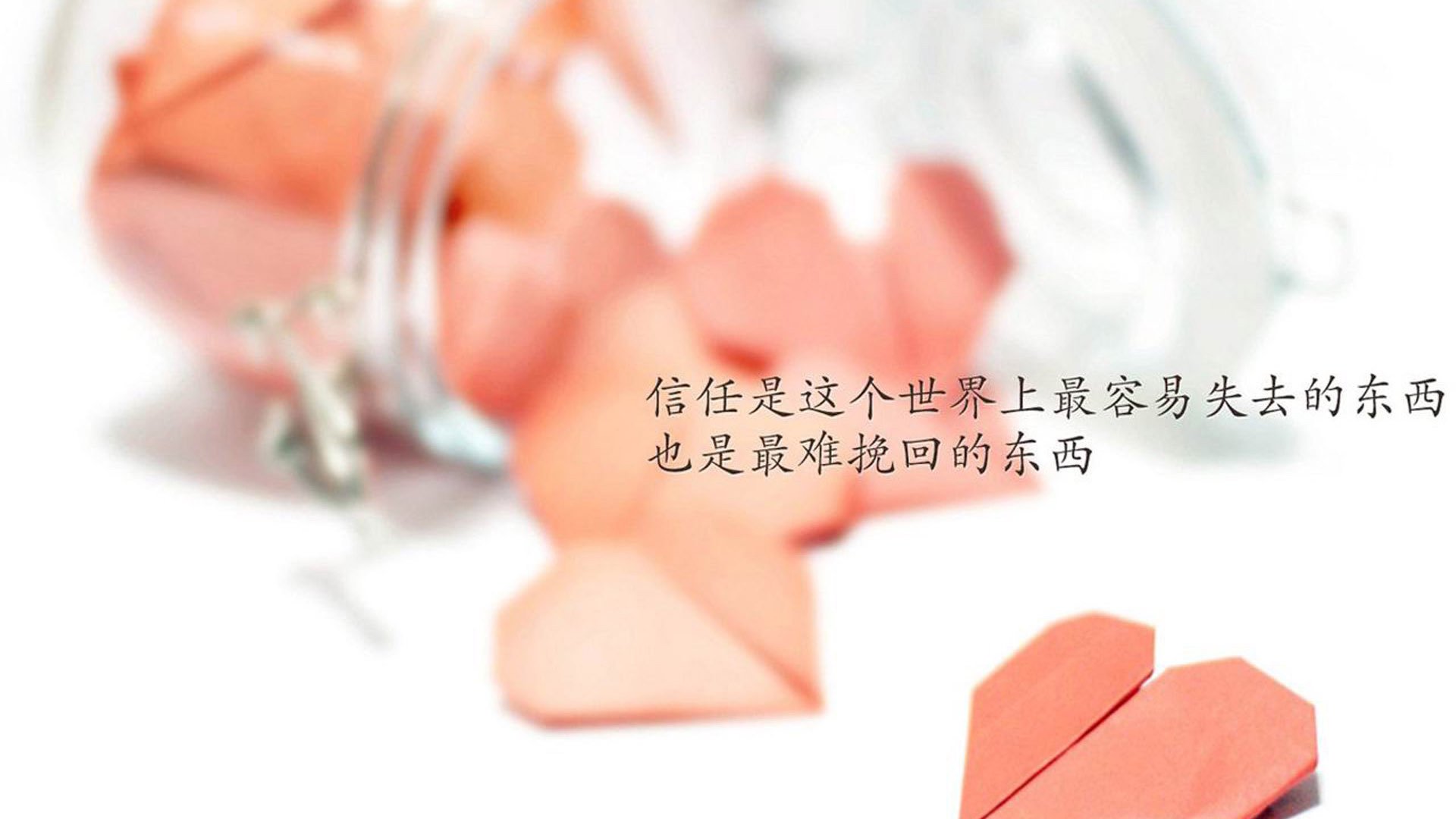 体育新闻中心联合地方广电打造体育融合传播栏目，央视体育新媒体广告投放