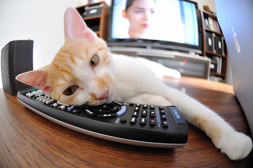 切尔西高效控球与快速反击成制胜法宝，切尔西防守怎么这么强