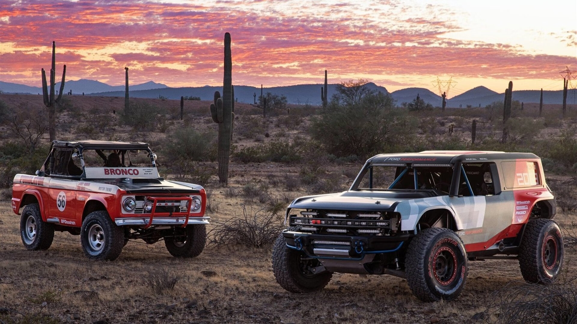 加拿大队赛制研究：团体赛制下如何最大化球员优势，加拿大的比赛