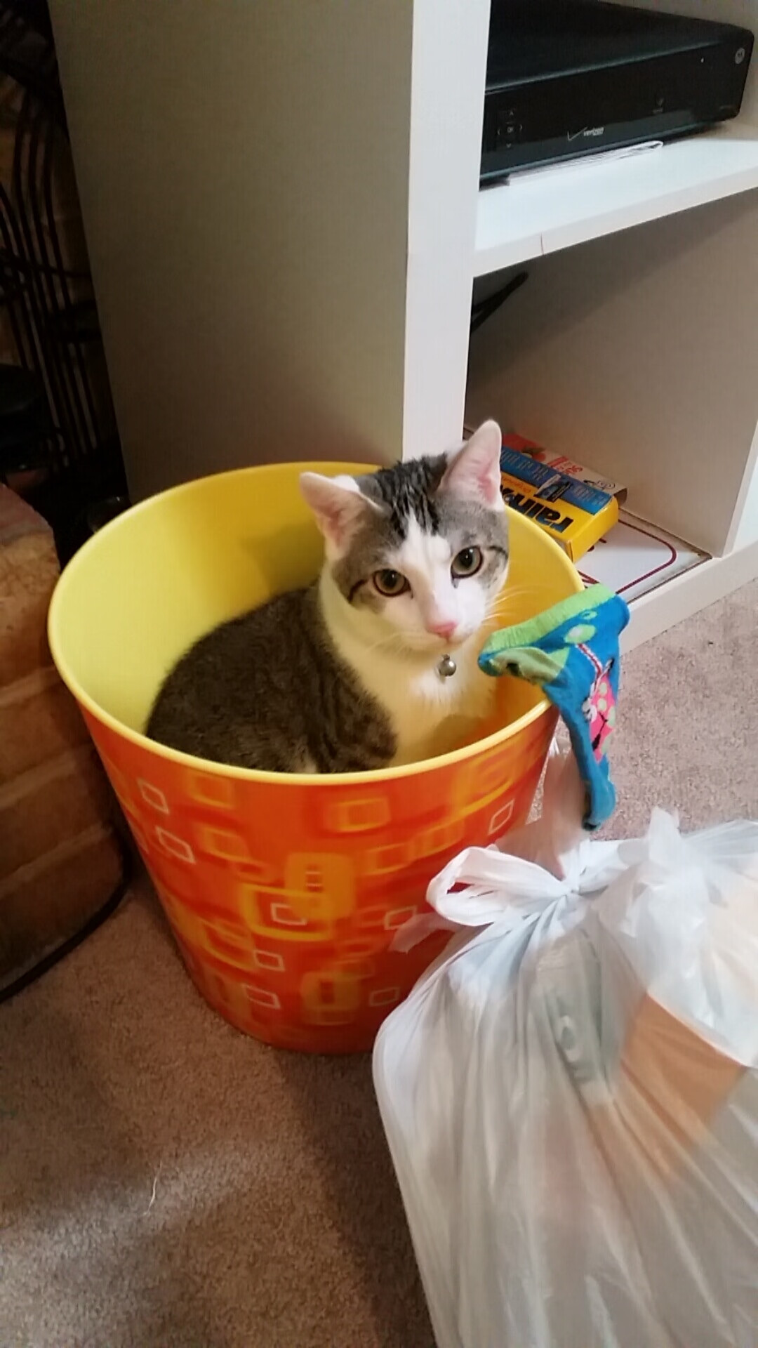 德美日蛙泳转身动作对比,蛙泳比赛转身视频