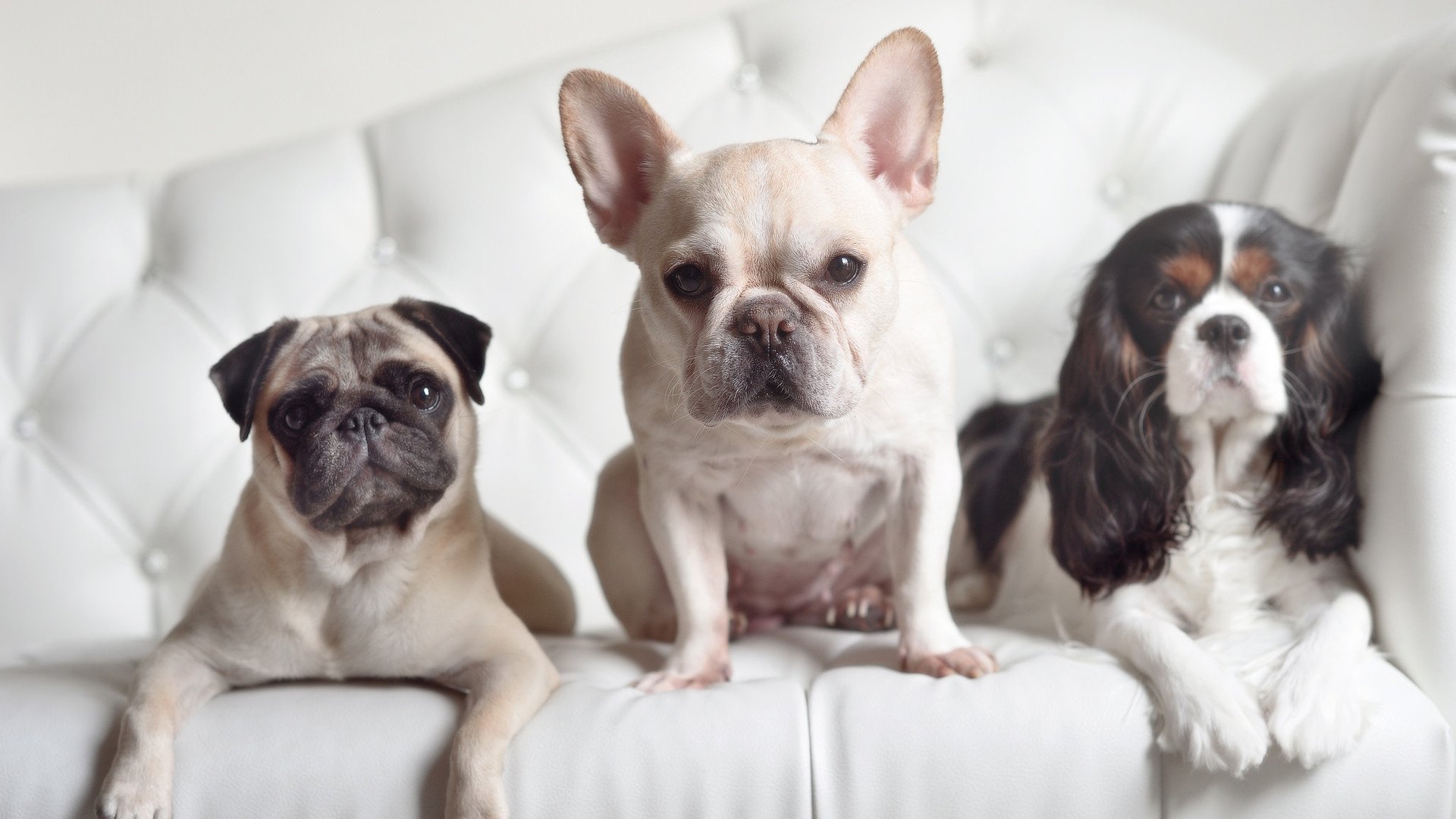 新的赛制规则更注重选手体能与技术的平衡，比赛赛制规则