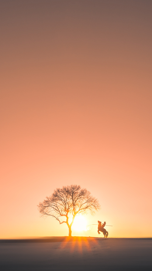 球员职业规划不明确，规划球员的待遇