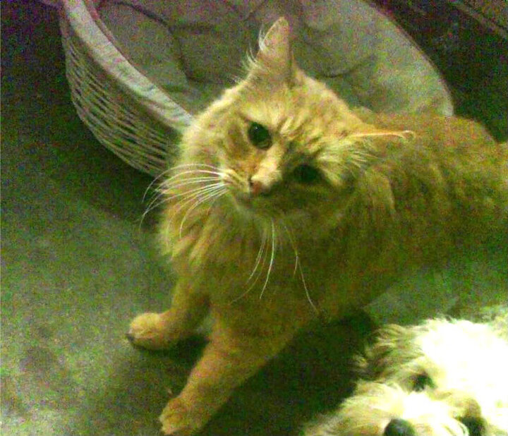 球员职业规划不明确，规划球员的待遇