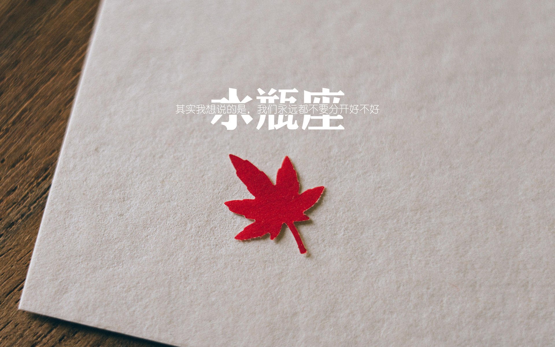 “马科斯·梅特罗：阿根廷美洲狮队的防守铁壁，未来无限可能”