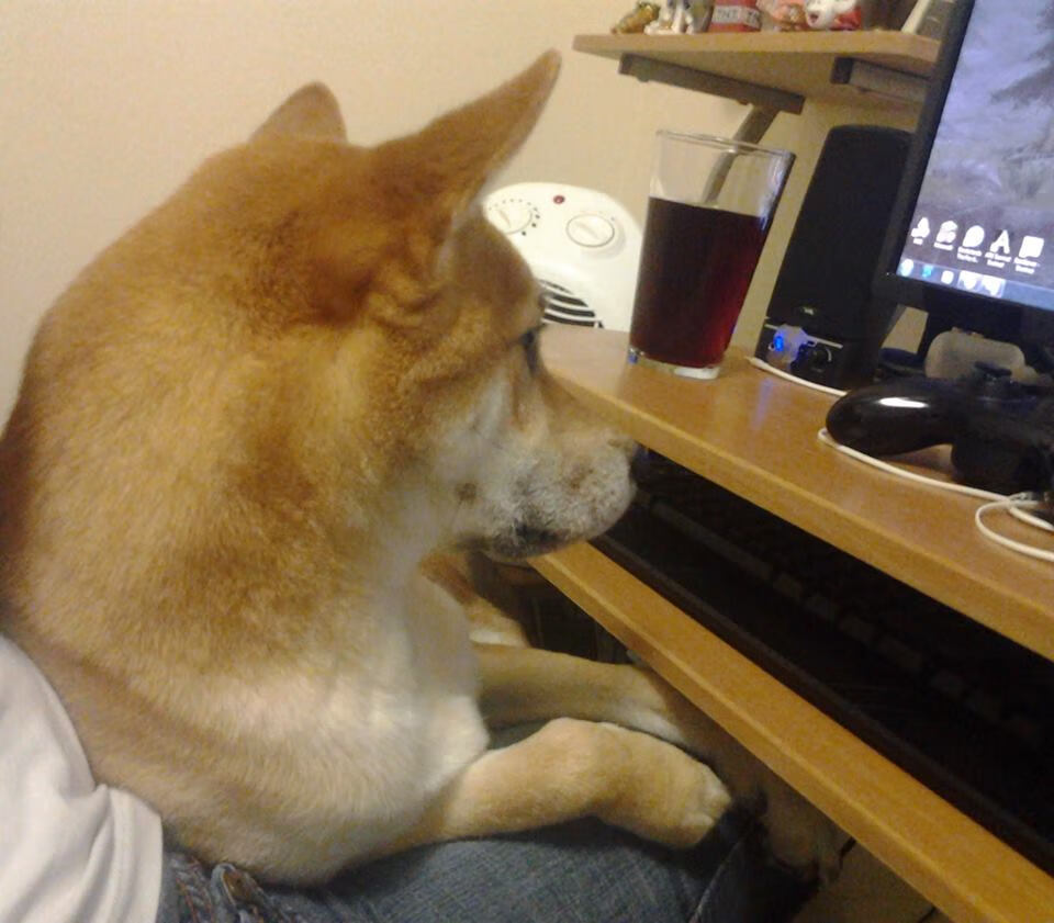 国家队与俱乐部协调赛程达成一致，球员出场更均衡，国家队对阵俱乐部