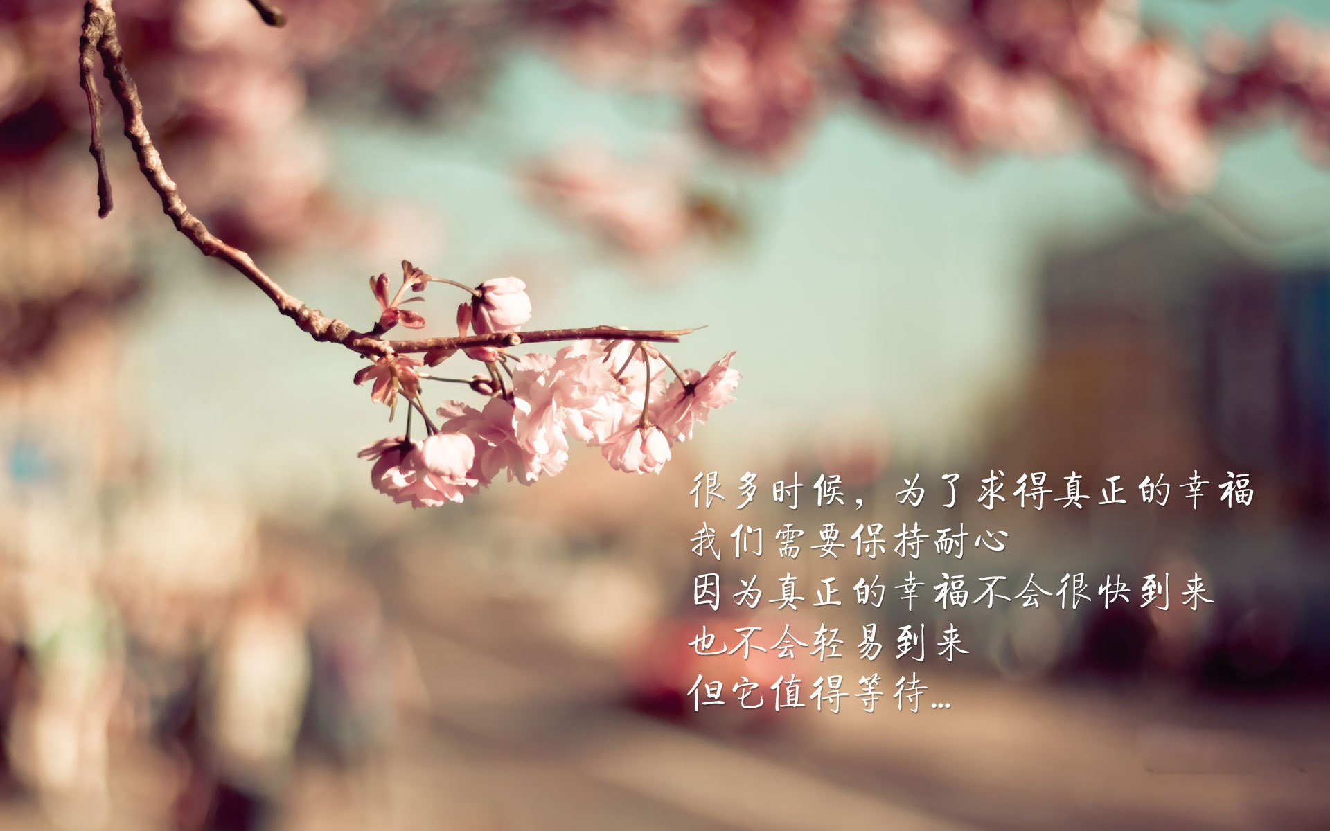 英超冠军角逐：胜利只差一步的紧张决战，英超 冠军