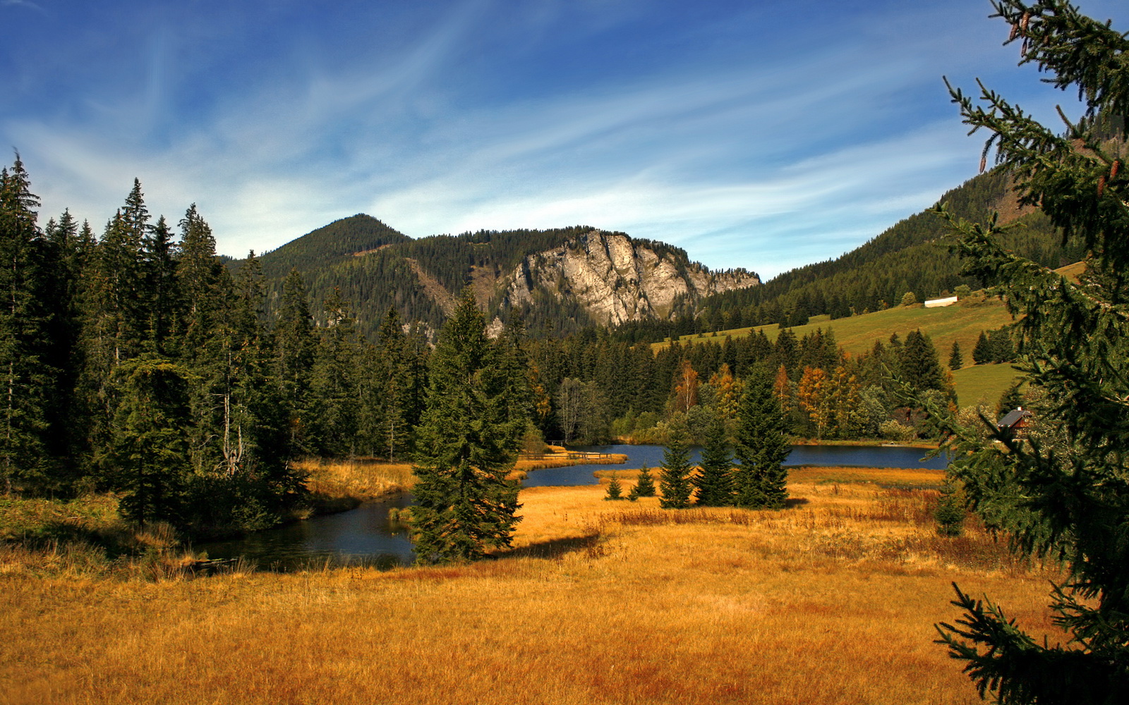 莱昂·马尔尚稳扎稳打掌控比赛节奏,莱昂内尔