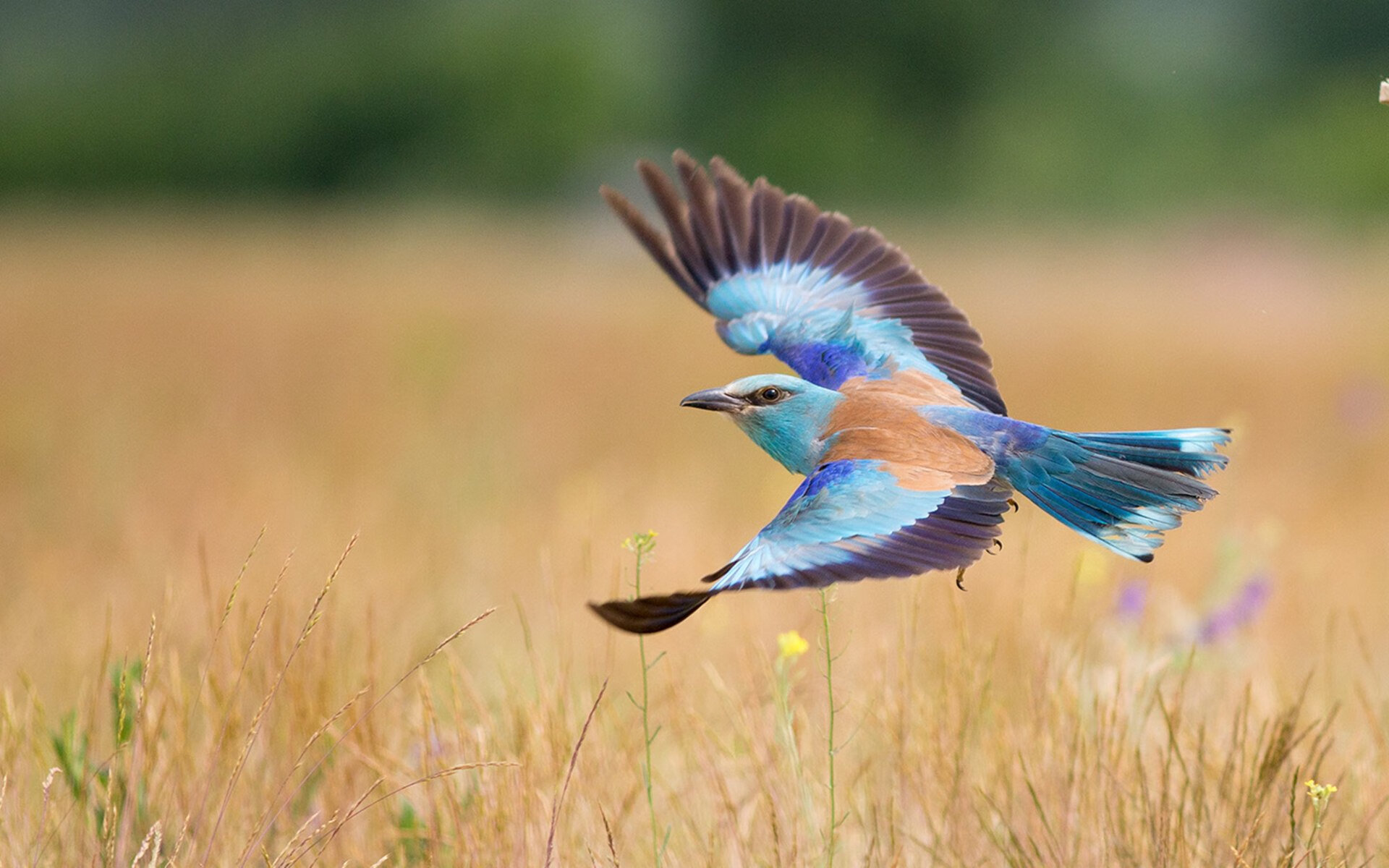 中国足球冬训营制度存在的问题与改进措施，足球冬训计划表