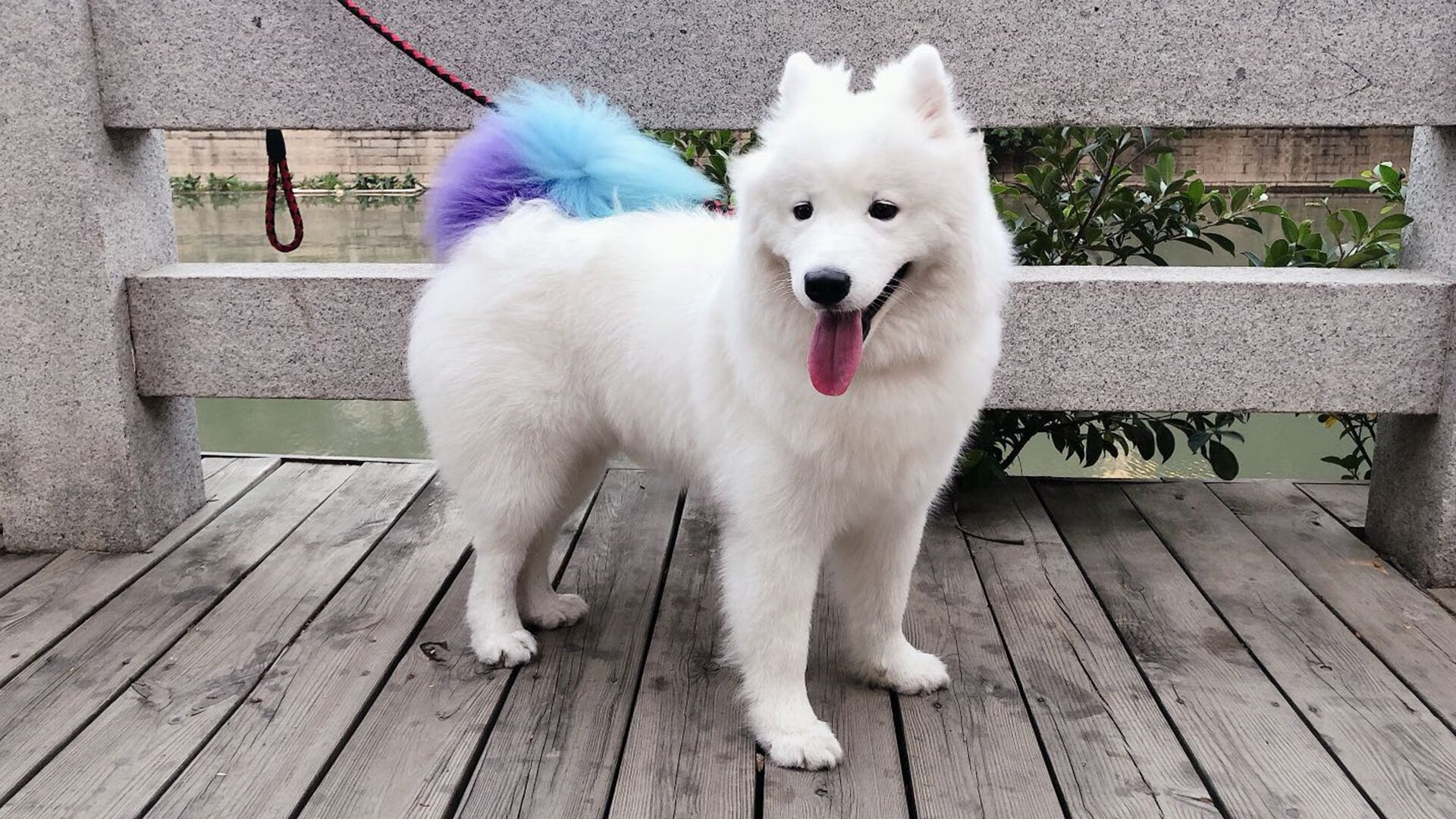 中国足球国家队注重体能训练与战术配合，国足的体能