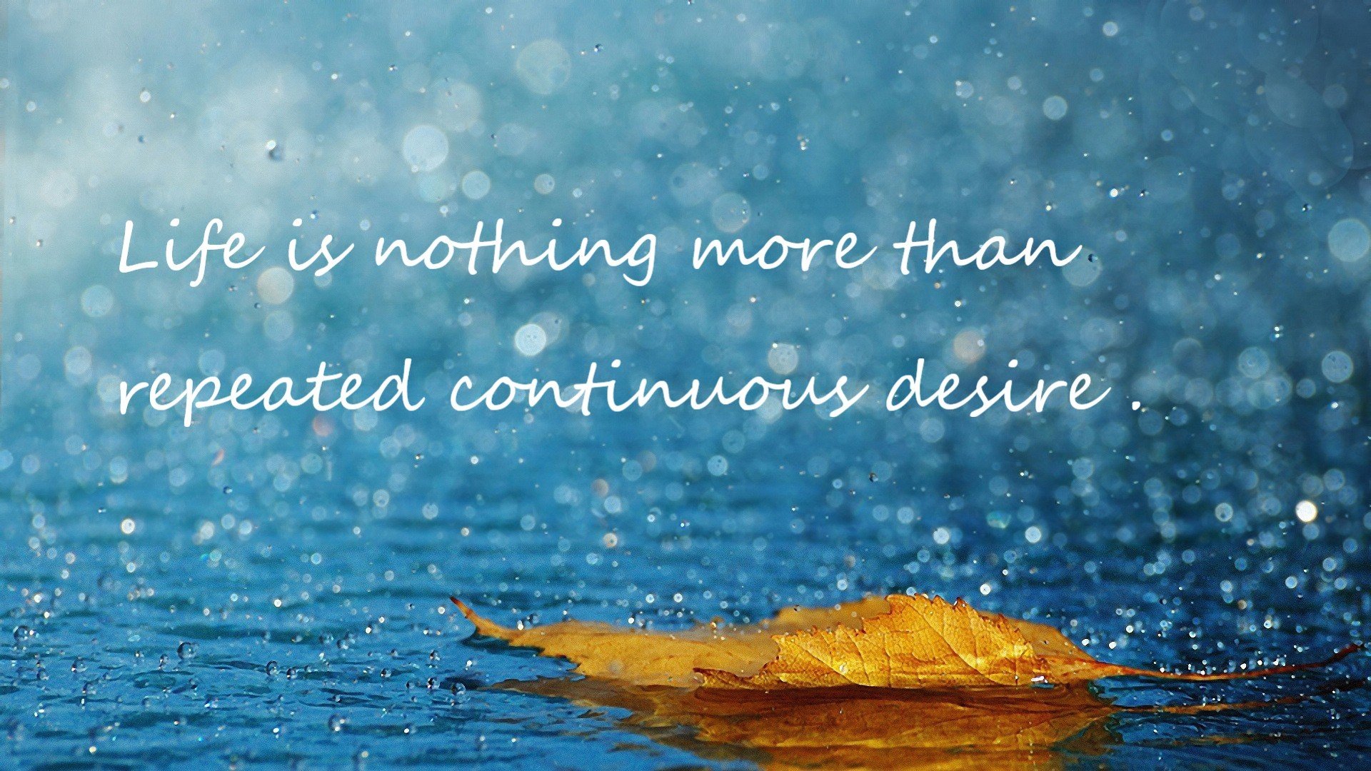 中国足球联赛提升联赛整体竞技水平，中国足球联赛开始走向职业化