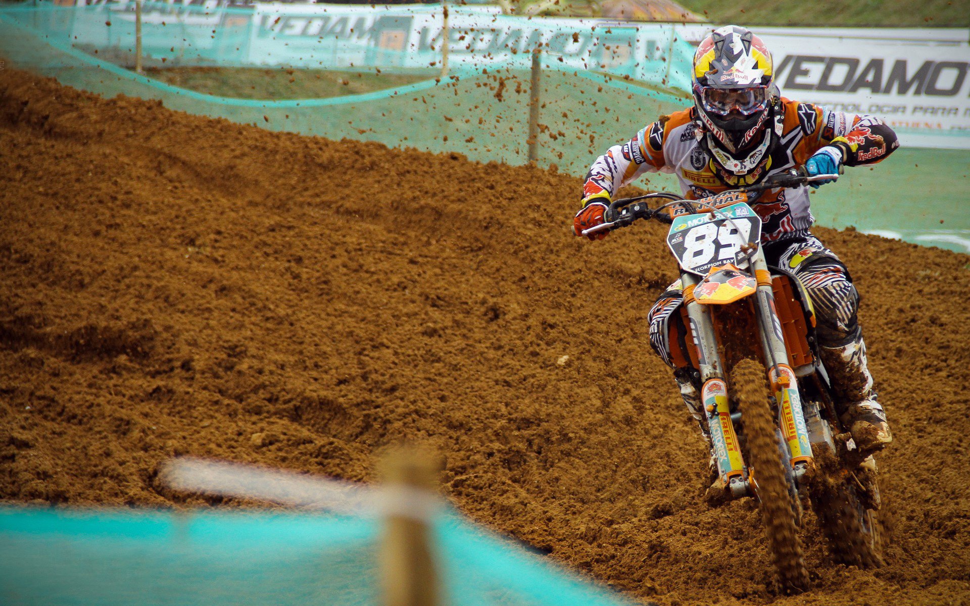 世界杯前瞻：美国新黄金一代崛起 被大胆预测具备冲击四强潜力